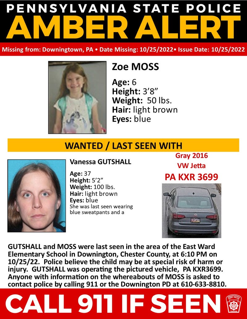 The description of the Amber Alert.