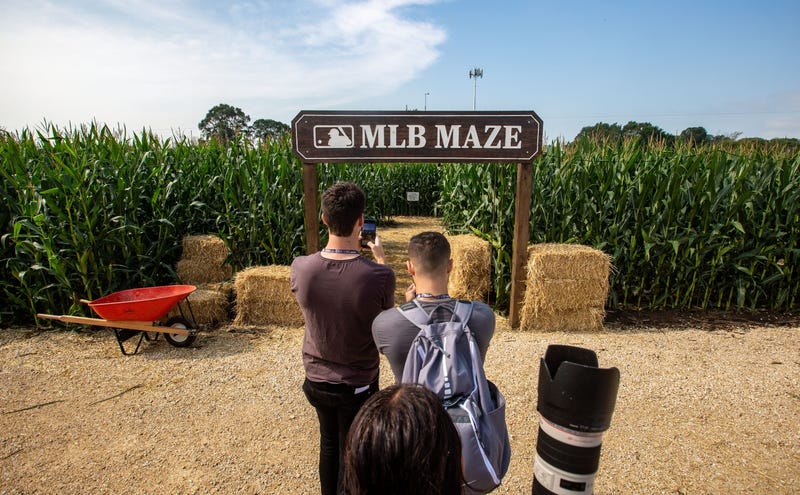 Corn maze outside at "Field of Dreams"