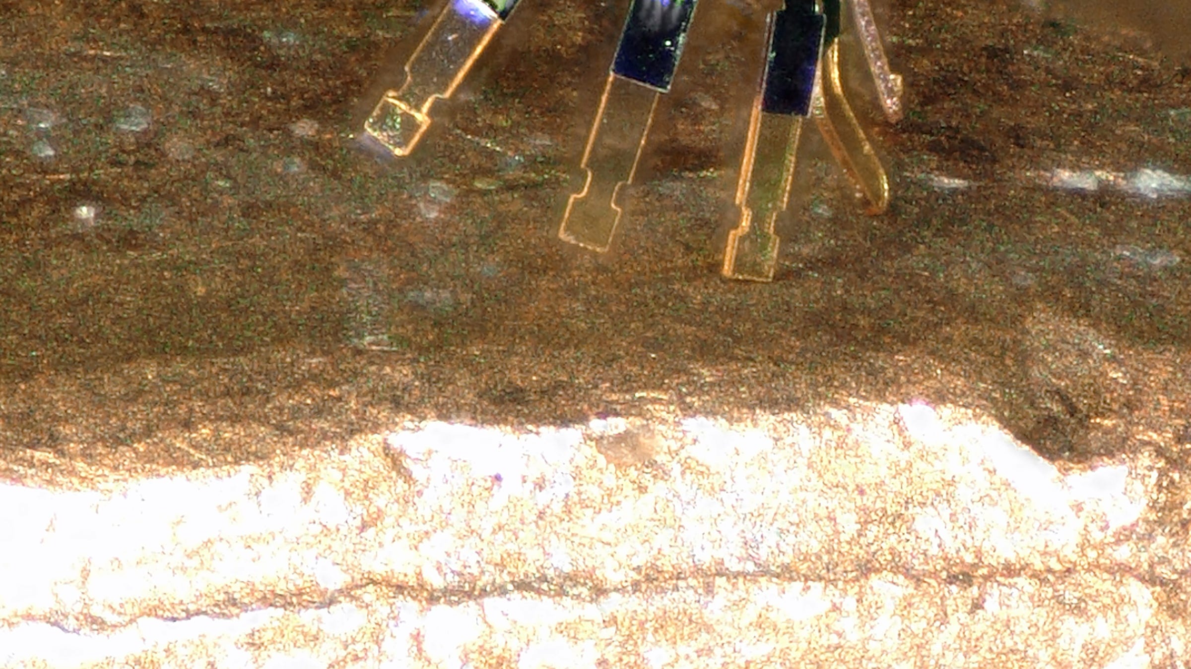 Scientists develop world's smallest remote-controlled robot