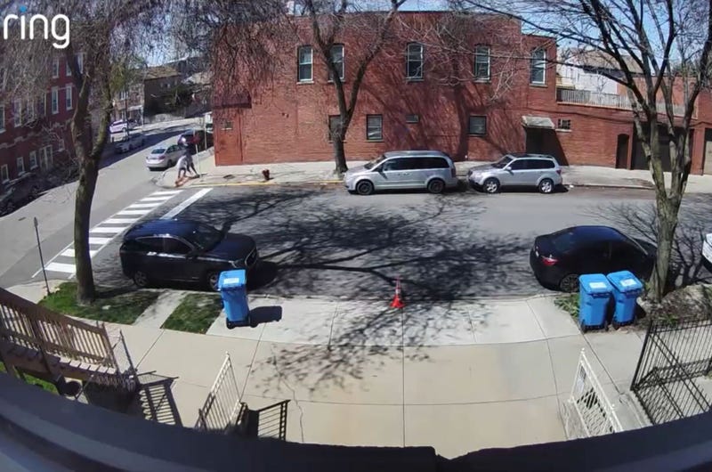 A still from one of the videos released by Chicago's Civilian Office of Police Accountability. It shows the moments before an off-duty Chicago police officer shot and killed an unleashed dog, after it got into a fight with the police officer's dog.