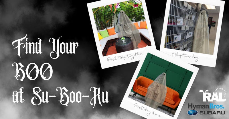 Richmond Animal League