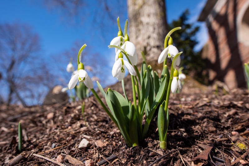 first day of spring