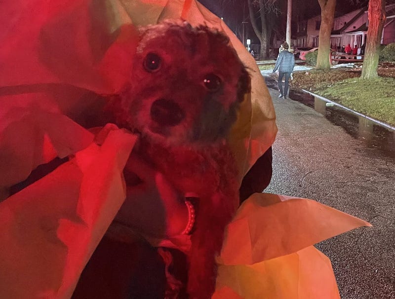 A team effort by firefighters and troopers in Saginaw is being credited with saving the life of one little dog after she was located unresponsive inside a home on fire late Thursday evening, authorities said.