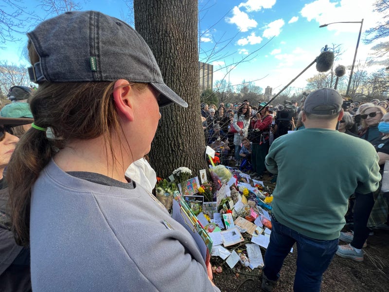 Several hundred people attended a memorial for Flaco the owl beside his favorite oak tree in Central Park on Sunday afternoon.