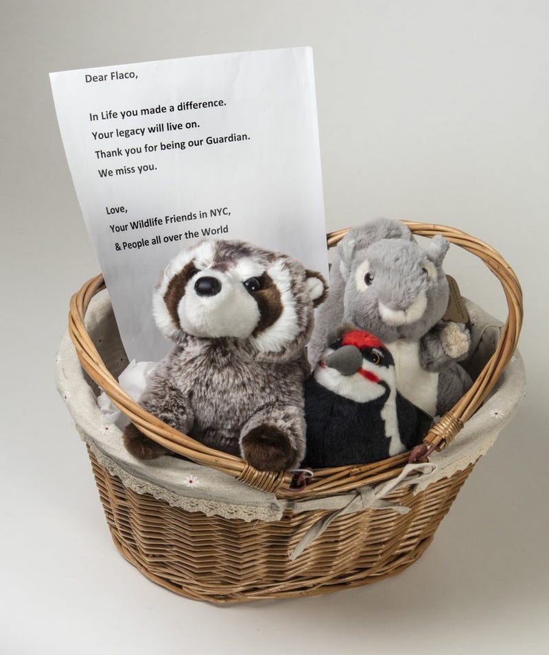 Stuffed animals, a basket and note left at the Flaco memorial by an unknown creator.