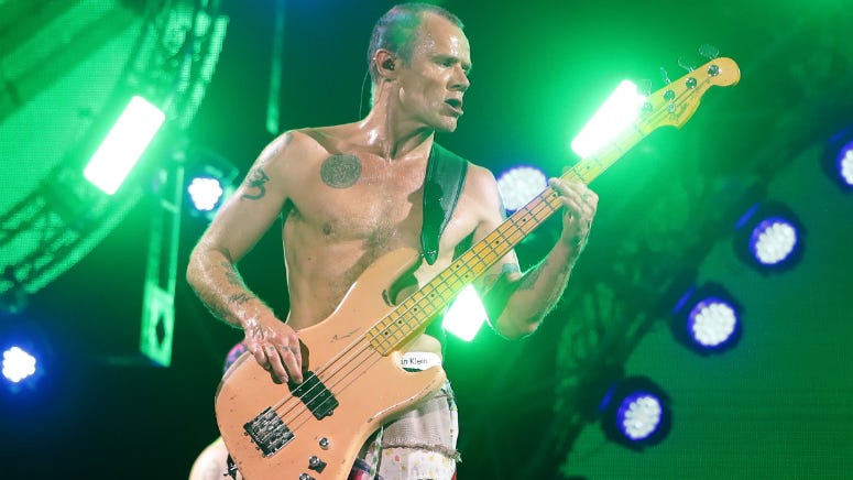 Flea Ties the Knot: Red Hot Chili Peppers Bassist Marries Designer Melody Ehsani