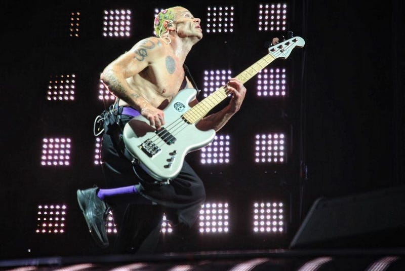 Flea of the Red Hot Chili Peppers