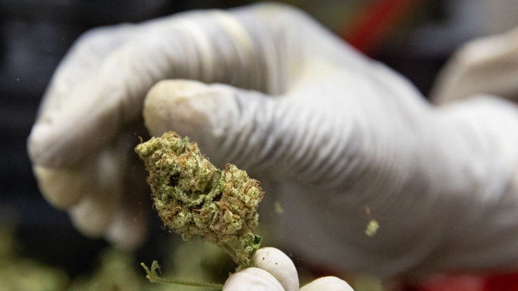 Flower form of medical marijuana to become legal in Louisiana on Jan. 1