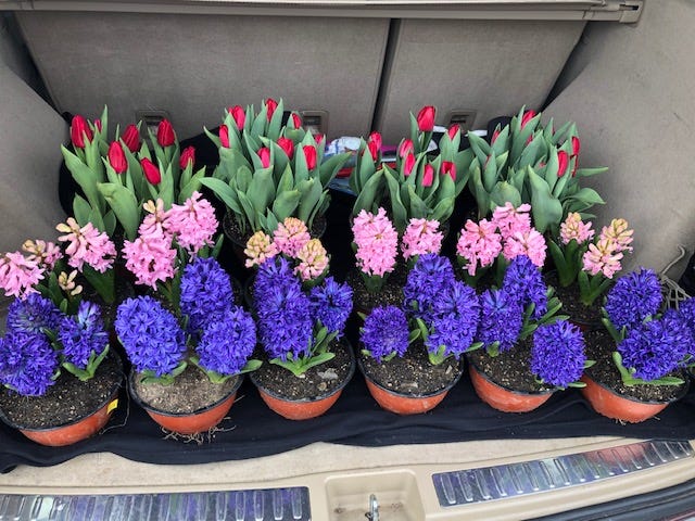 Gardening Tips With Jen from Rivers Edge!