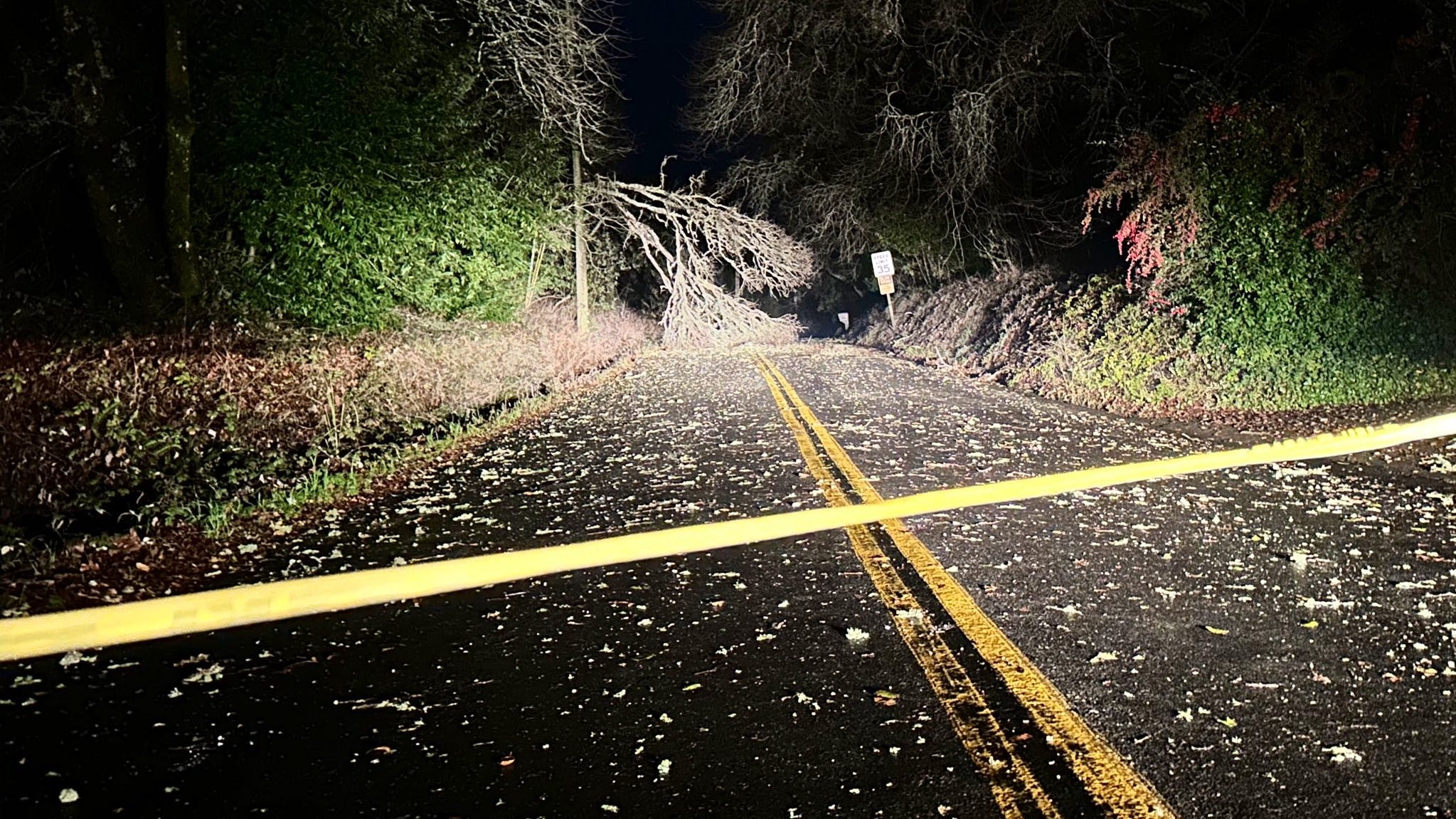 Toddler dies after tree falls onto roof of North Bay home