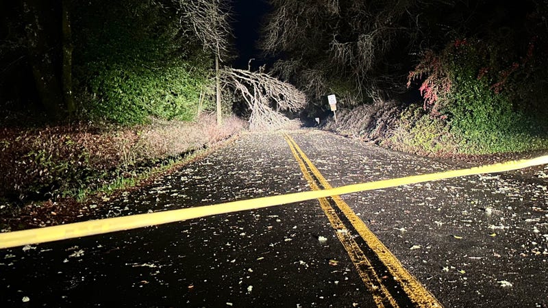 The remnants of a downed power line in Graton following last night’s powerful winds felt across the North Bay, one of many that kept first responders busy throughout the night.