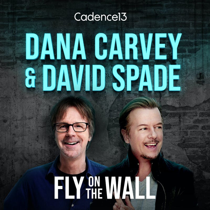 Fly on the Wall