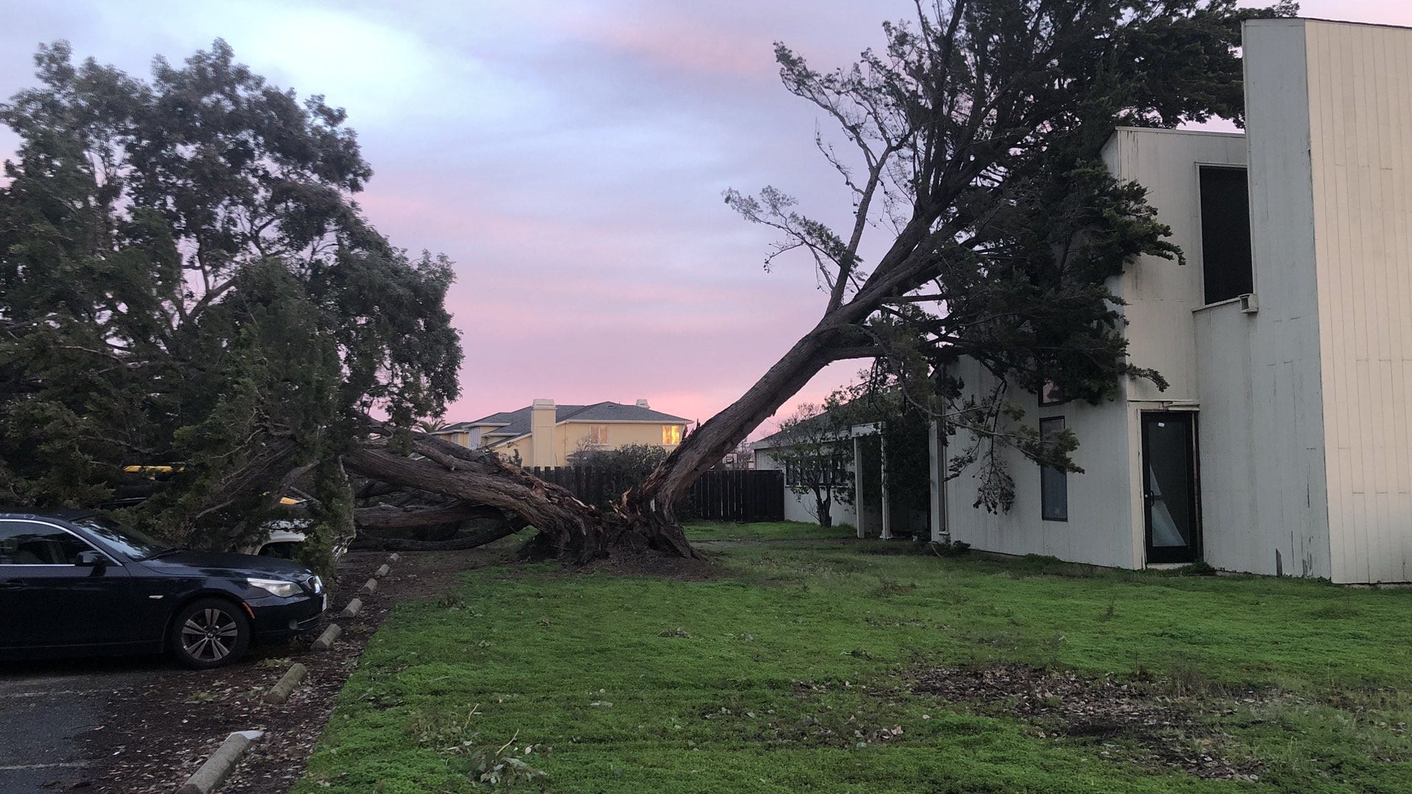 Large tree falls on former daycare, church in Foster City