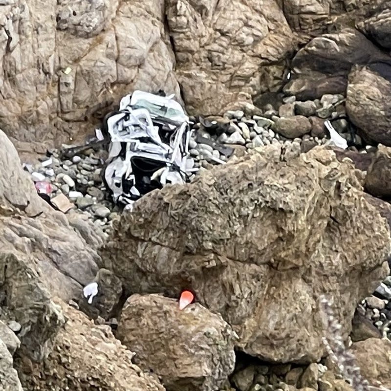 The wife of a Tesla driver who allegedly drove his family off a cliff in the South Bay has accused her husband of intentionally trying to kill the family.