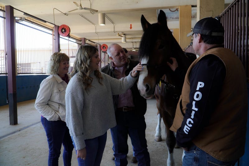New Dallas PD Mounted Patrol horse donated by the family of an officer killed by a drunk driver