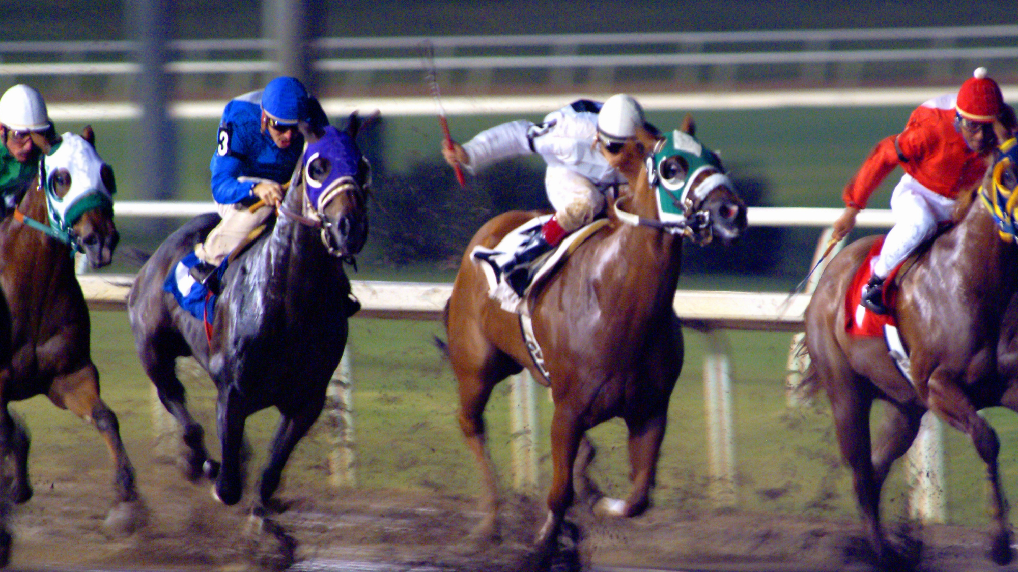 Three more horses die at local race tracks