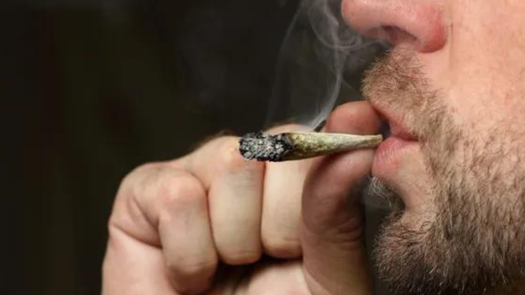 Vegas OKs pot-friendly hotel rooms