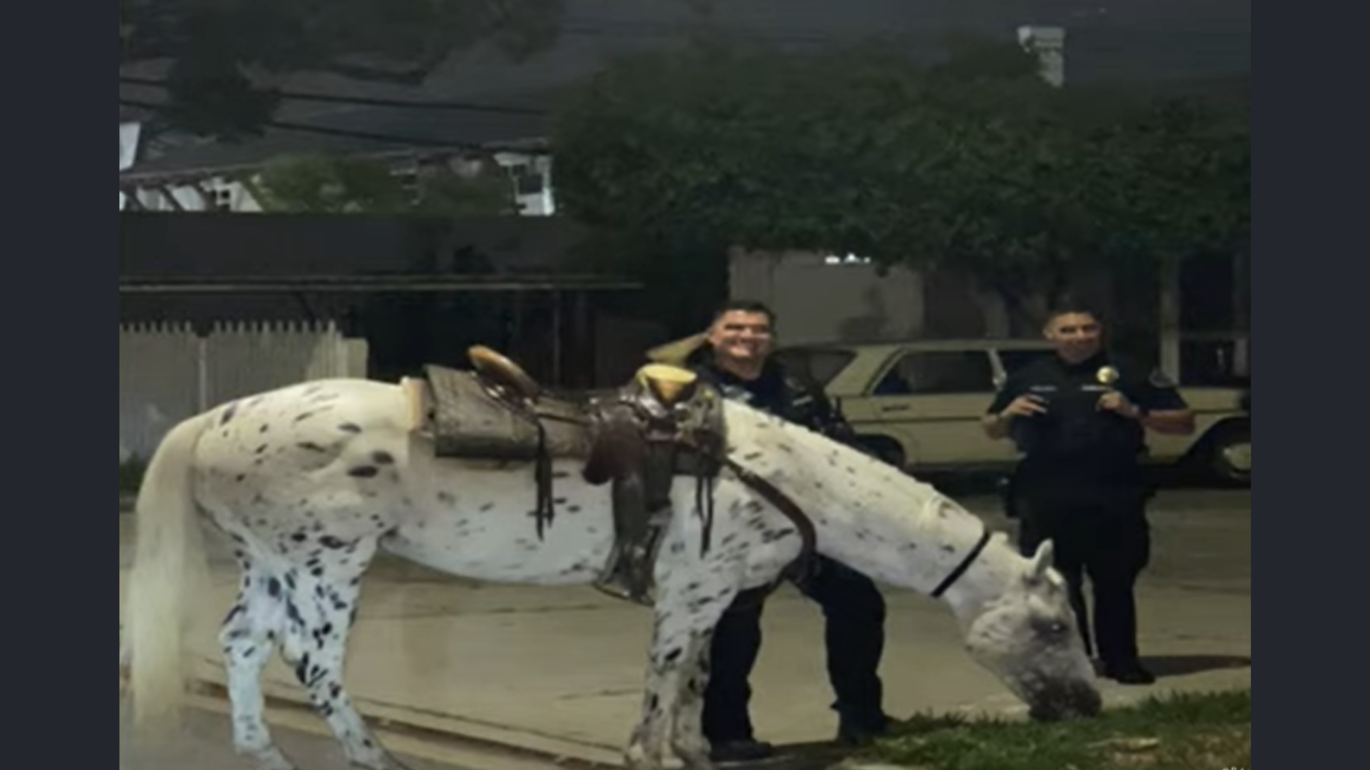 WATCH: Startled horse sprints through Burbank