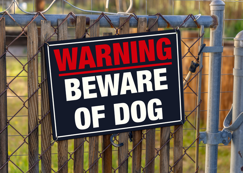 Woman accused of prompting dog to attack OC child