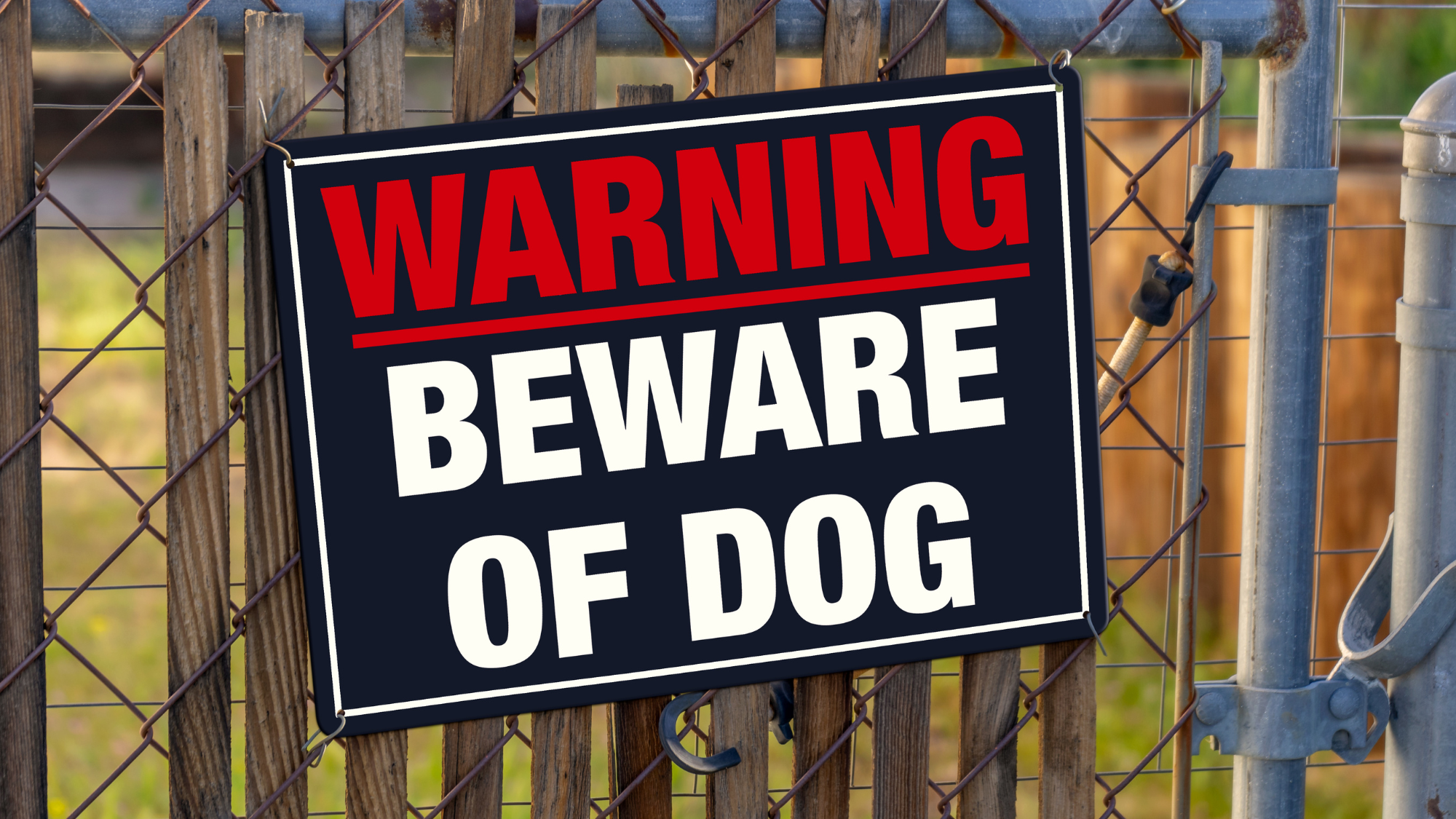 Woman accused of prompting dog to attack OC child