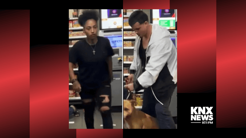 Police searching for second suspect in connection to the dognapping in North Hollywood.