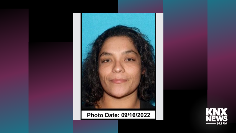 Missing Elizabeth