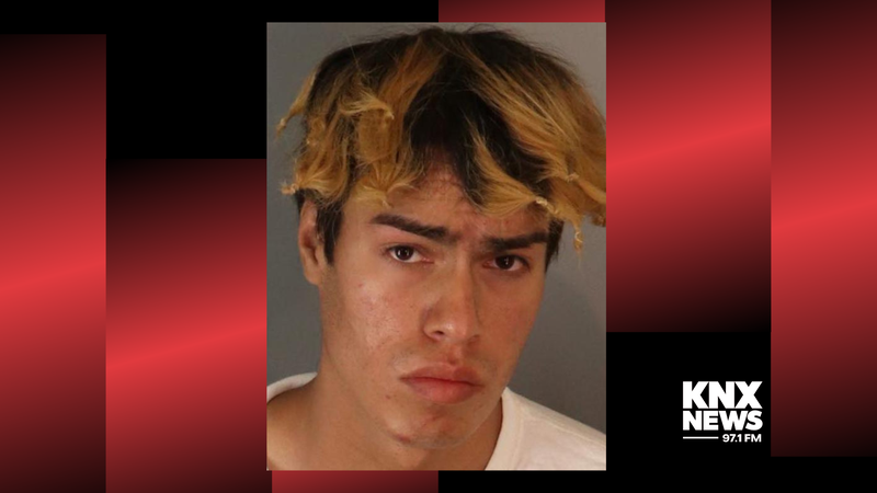 Riverside Man to Stand Trial for Allegedly Fatally Assaulting His Father