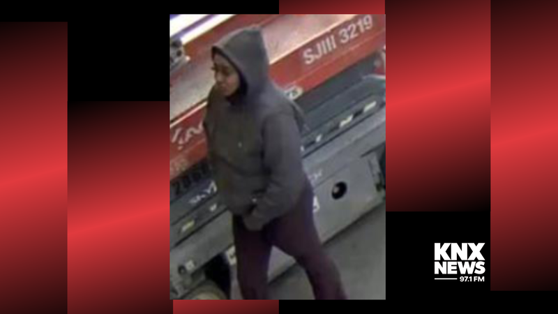 Female suspect