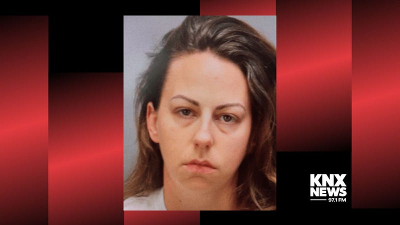 mugshot of white woman with long brown hair