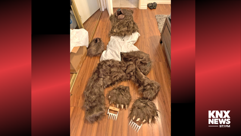 bear suit