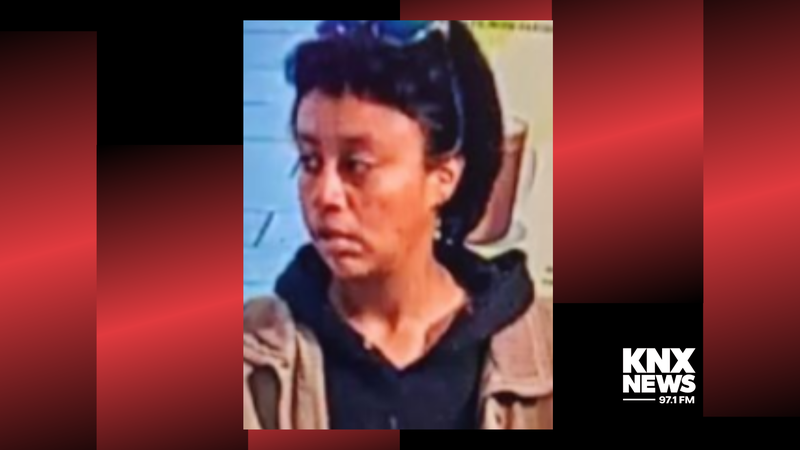 Woman accused in attempted kidnapping
