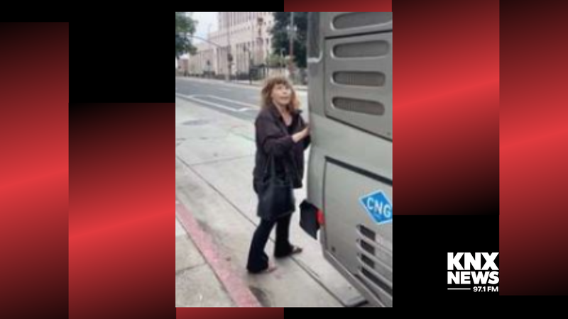 Metro Suspect