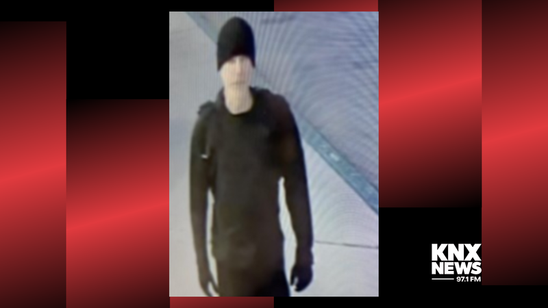 Vandalism suspect