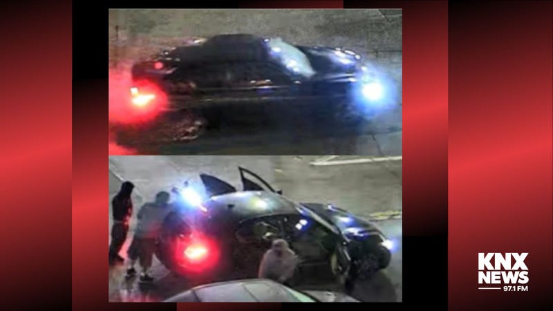 Wactor suspects