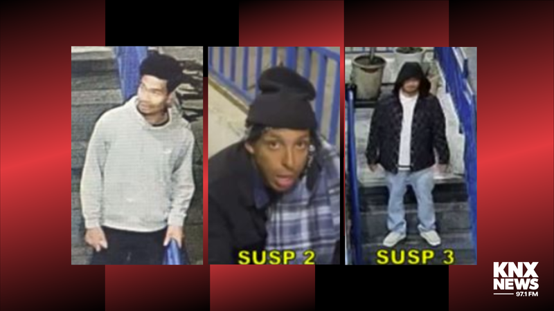 Suspects