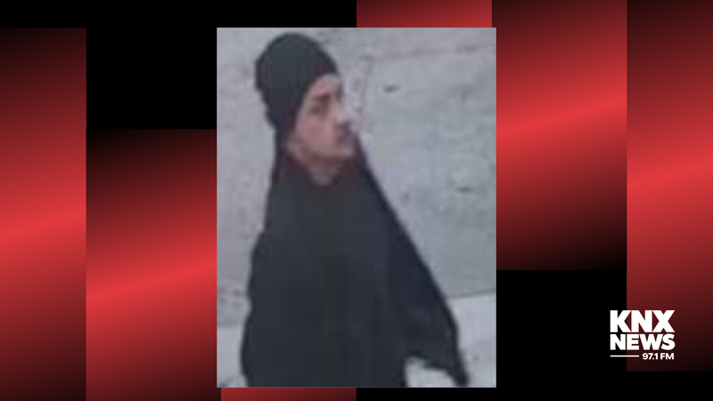 Suspect in sexual assault