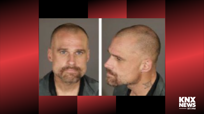 Chainsaw tree cutter suspect