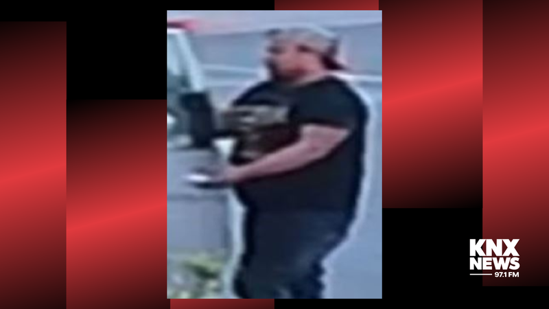 Calabasas suspect