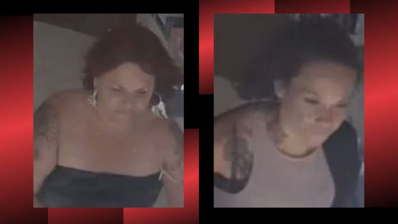 surveillance video of two women