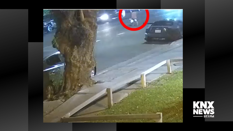 Hit-and-Run victim in Van Nuys