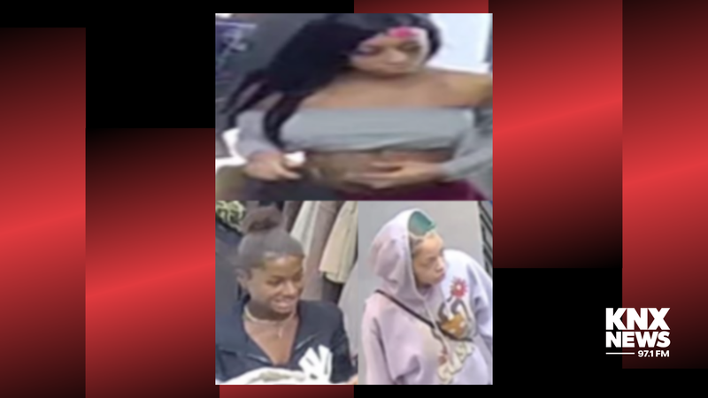 Calabasas theft