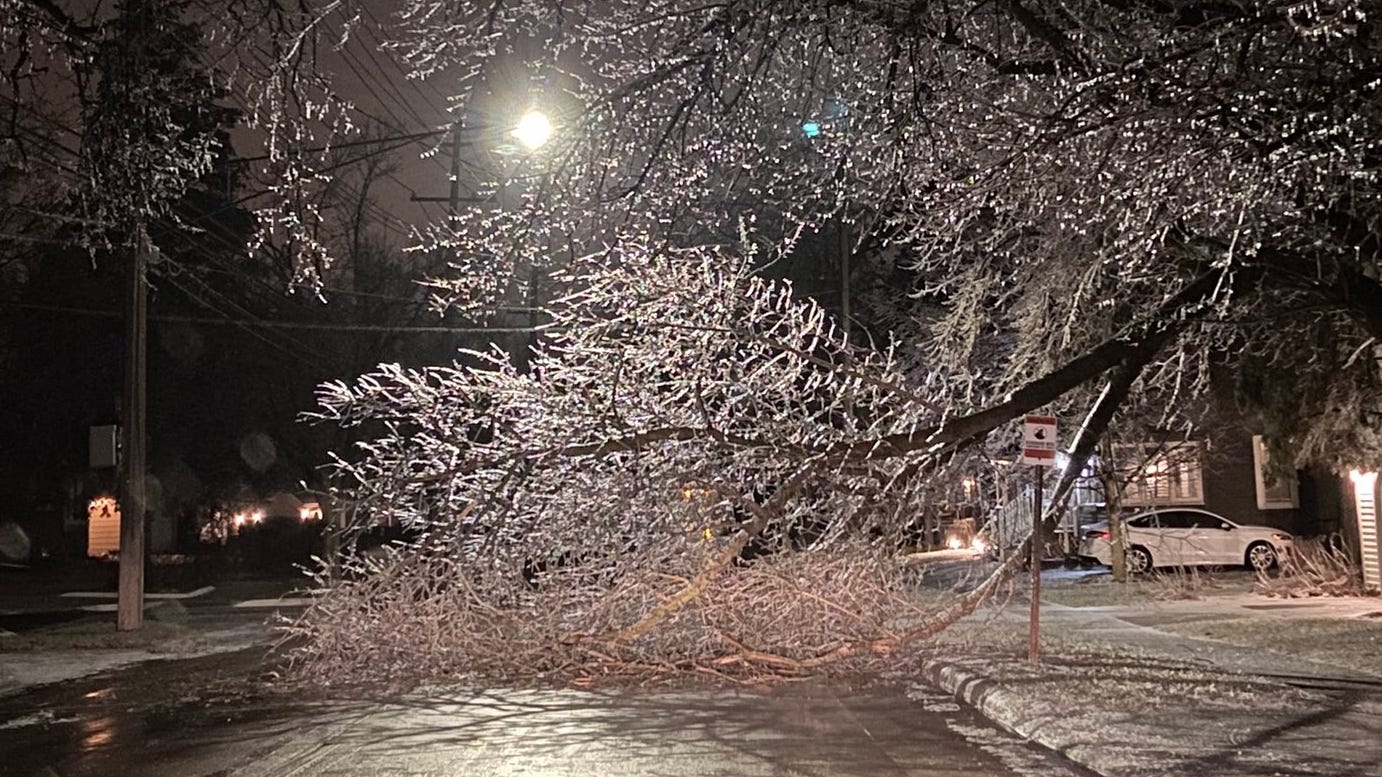 'Level we have not seen in 50 years': Significant ice accumulations leave 680k Michiganders without power after major ice storm snaps trees, brings down power lines