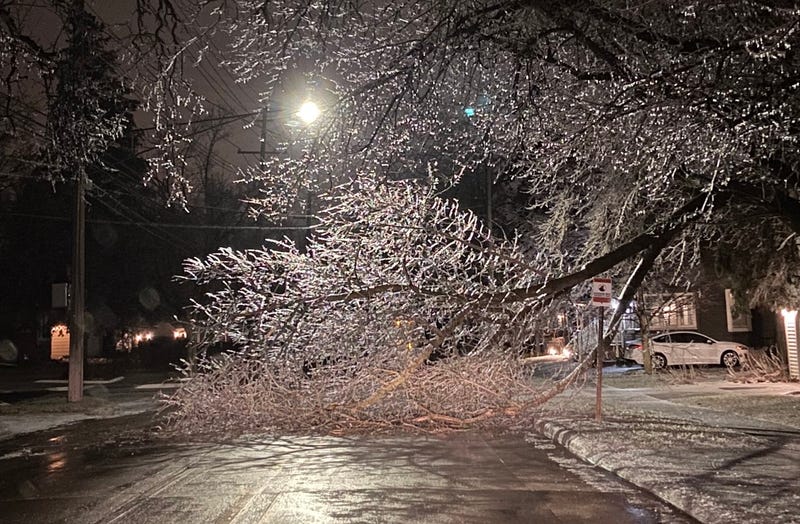 One quarter to half an inch of ice accumulation is enough to cause major damage, but Wednesday's major winter storm brought .75 inches to areas in Southeast Michigan — a level the state hasn't seen in almost five decades, DTE Energy says.