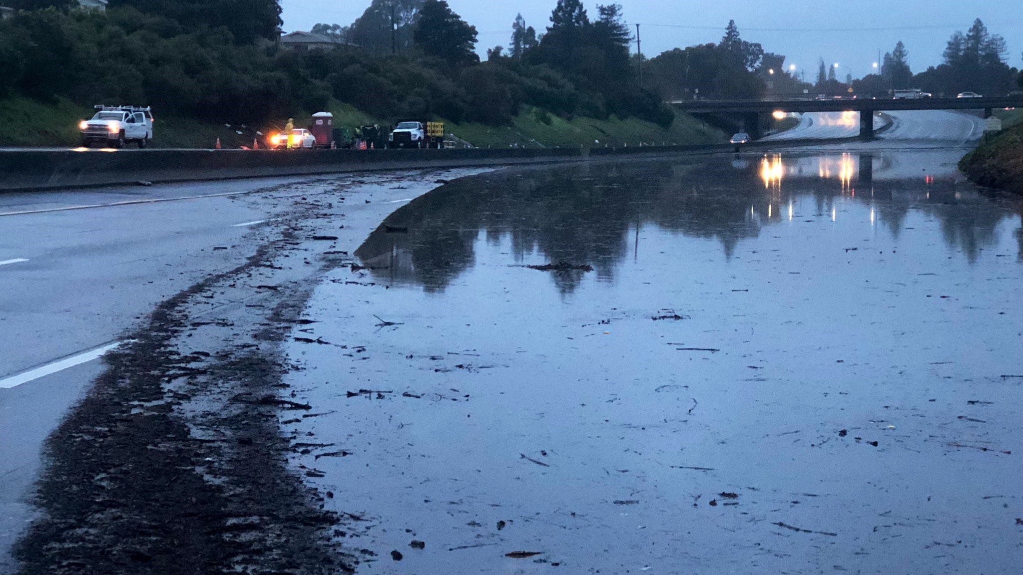 Ducks swim up Oakland I-580 as huge puddle closes freeway