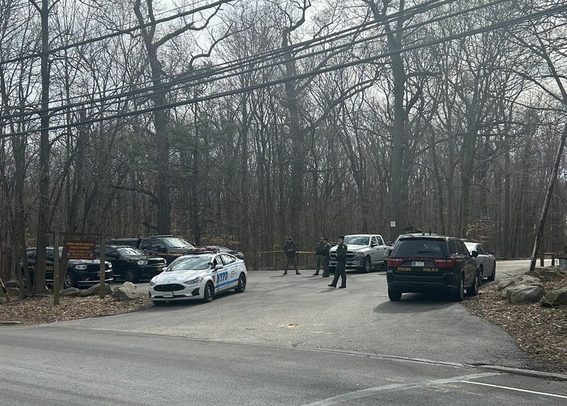 The human hand was found Thursday at North Mount Loretto State Forest on Staten Island. Police closed off the parking lot Friday