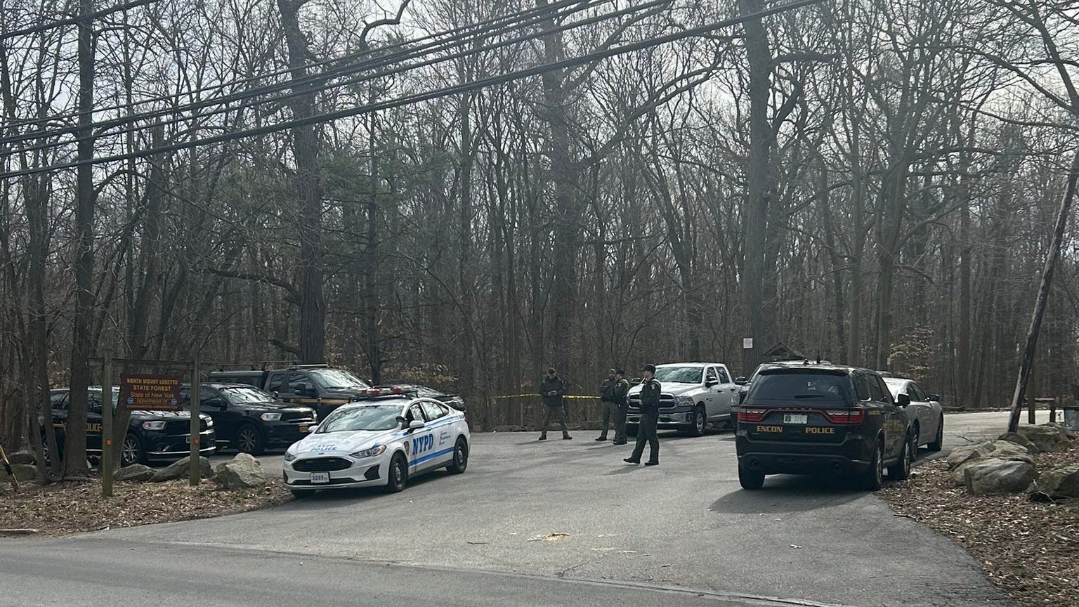 Dog walker discovers human hand in Staten Island forest