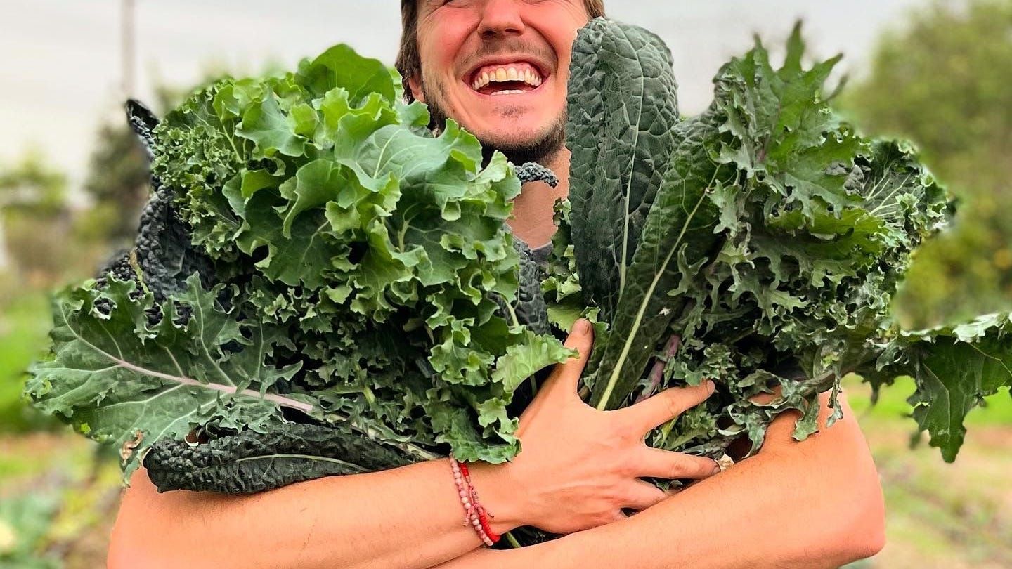 This team is using urban farming to provide food & opportunities for others