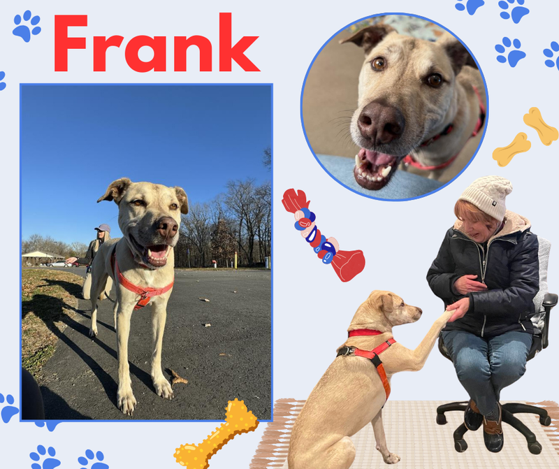 Frank