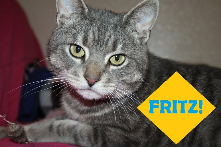 Fritz