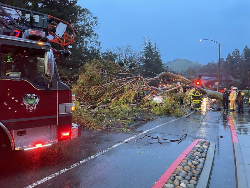 A rare "bomb cyclone" slammed into the Bay Area yesterday, bringing heavy rain and high winds, and causing death and injuries from falling trees and debris.